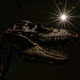 Imagen para el artículo titulado Un enorme cráter sugiere que un segundo asteroide cayo sobre la Tierra y terminó de rematar a los dinosaurios